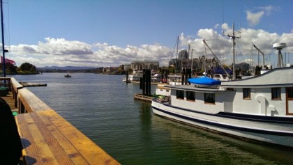 Harbour view from lunch stop at Red Fish Blue Fish