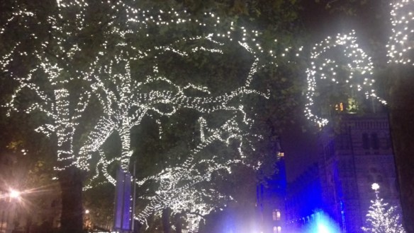 Christmas lights at the Natural History Museum