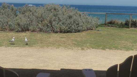 parkdale-beach-cafe-1-640x360