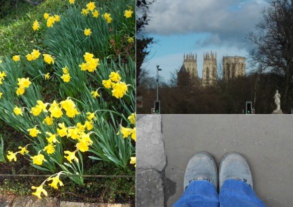 York Arrival montage