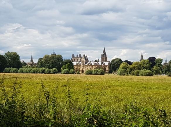 CC Meadow college view