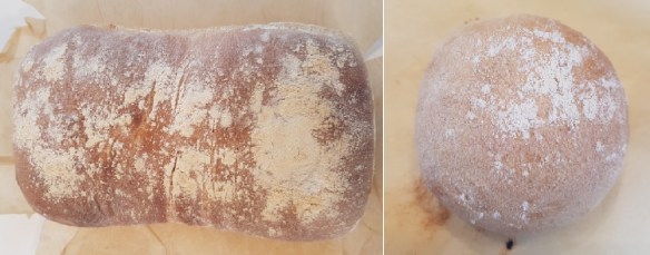 White bloomer montage