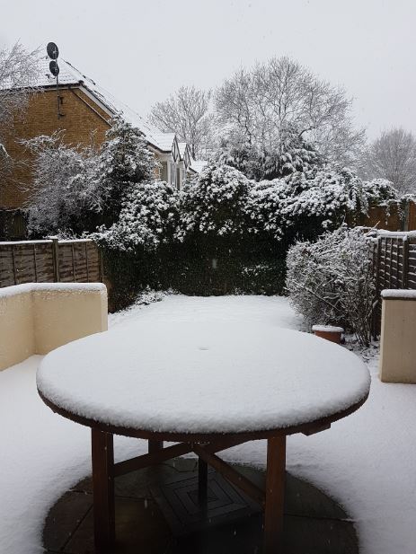 Snow on the Gidday patio